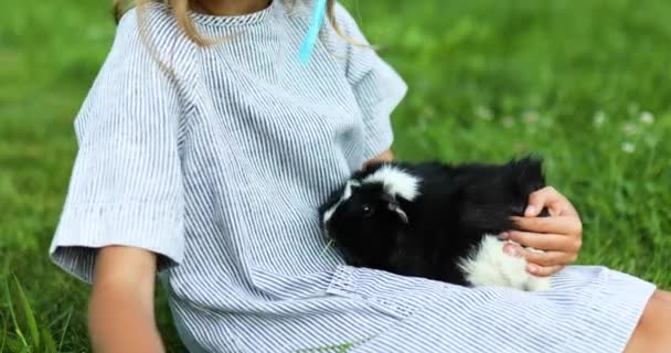 Seorang Gadis Kecil Bermain Dengan Babi Hitam Guinea Duduk Luar — Stok Video