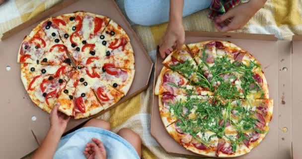 Pizza Paylaşımı Açık Hava Kutusundan Pizza Alan Eller Aile Pikniği — Stok video