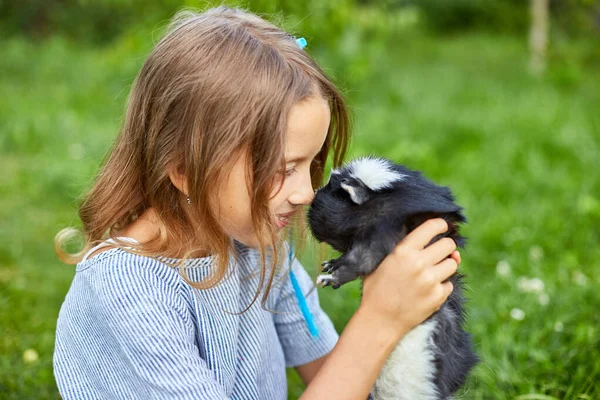 夏に屋外に座っている黒ギニア豚と小さな女の子の遊び ペットカリコモルモットは彼の所有者の裏庭の草の中に放牧し ペットを愛します — ストック写真