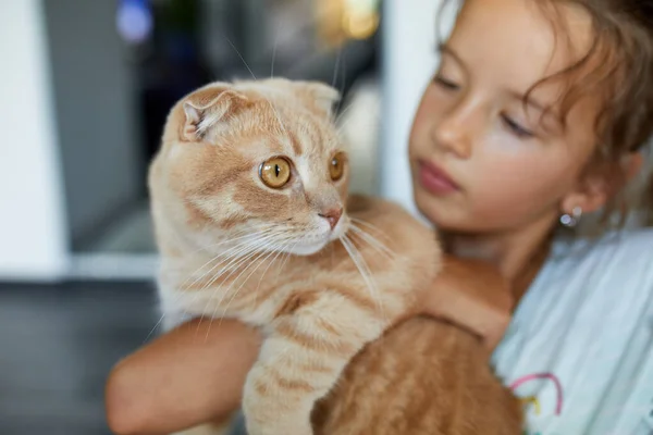 Little Girl Holding Cat Her Arms Home Indoor Child Playing — Stock Photo, Image