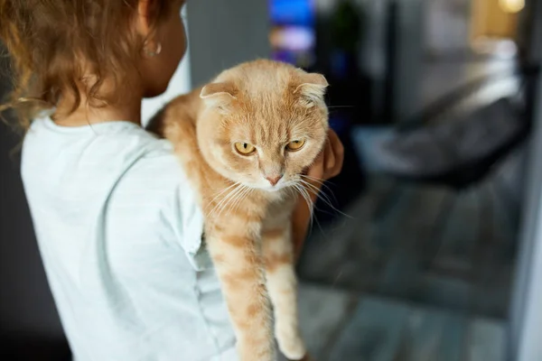 Niña Sosteniendo Gato Sus Brazos Casa Interior Niño Jugando Con —  Fotos de Stock