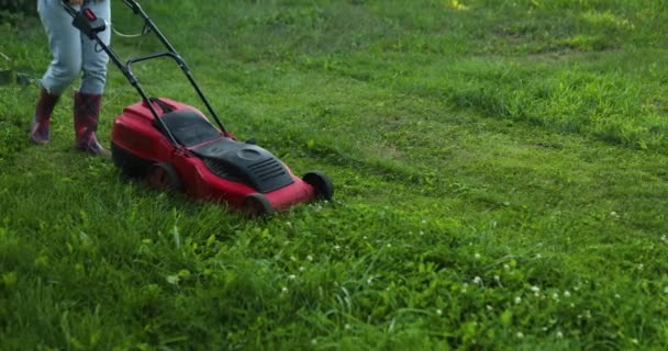 Femme Tondre Pelouse Avec Une Tondeuse Gazon Herbe Maison Jardin — Video