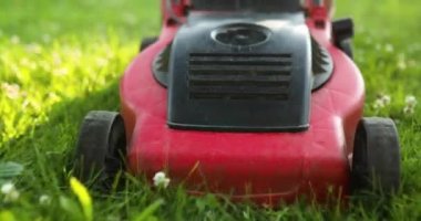 Çim biçme makinesinin kapağı ev bahçesindeki çimleri biçer, çalışır, güneş ışığı, herhangi bir amaç için harika tasarım, bahçe konsepti.