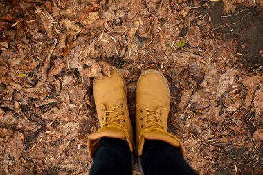 Sonbahar yaprakları ve ahşap arka planda dağ botlarıyla gezen üst düzey bir kadın. Rahatlatıcı, yerel seyahat, akıl sağlığı. Boşluğu kopyala