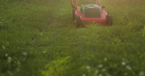 Mujer corta el césped con una cortadora de césped hierba en el jardín en casa, mujer jardinero trabajando — Vídeos de Stock