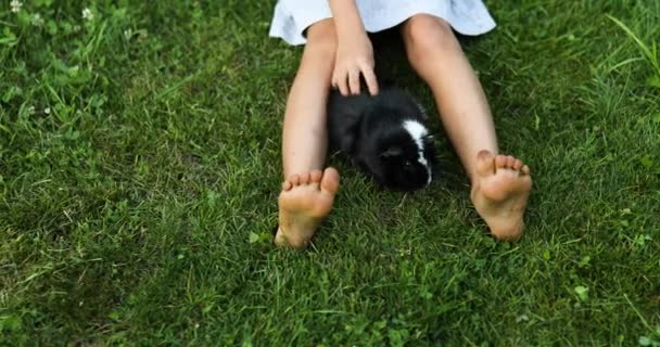 Une petite fille joue avec le cochon de Guinée Noire assis à l'extérieur en été — Video