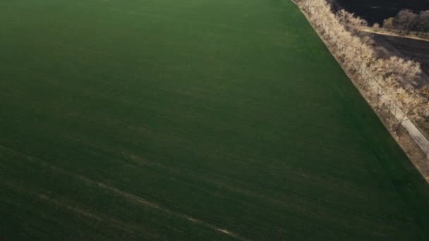 Aereo drone vista dall'alto volo su terra terra terra strada e campo verde — Video Stock