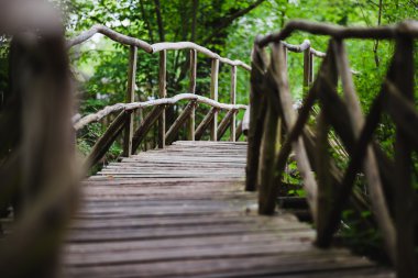 Ormanda tahta köprü