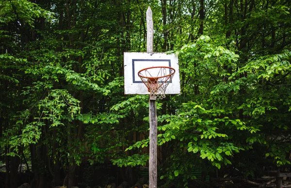 Basketkorg med träd — Stockfoto