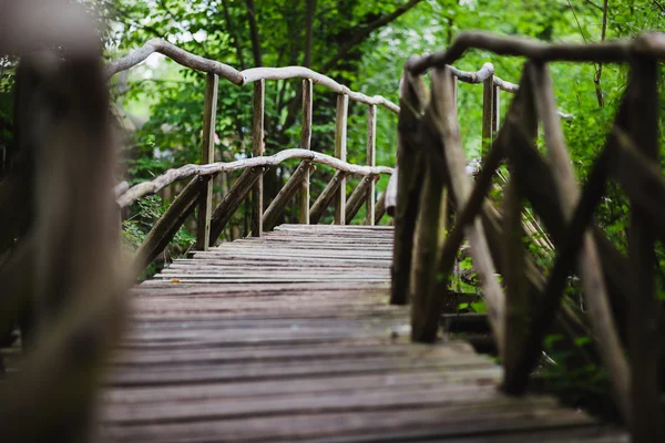 Ormanda tahta köprü