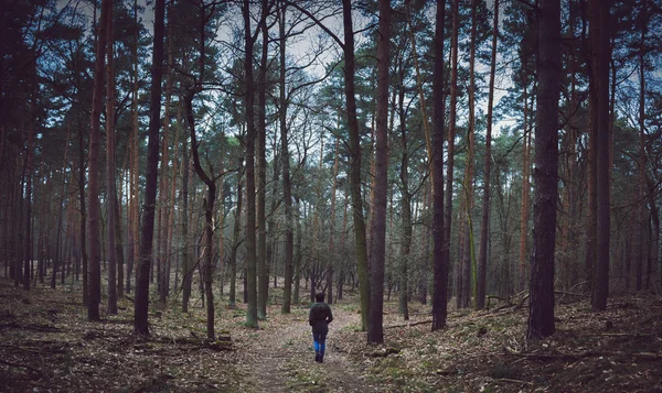 Одиночка, гуляющий в лесу — стоковое фото