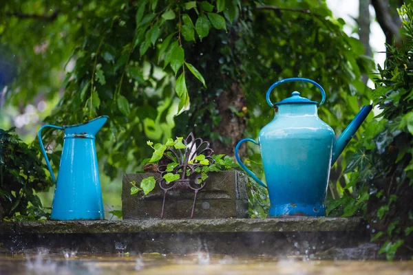 雨滴与浇水罐 — 图库照片