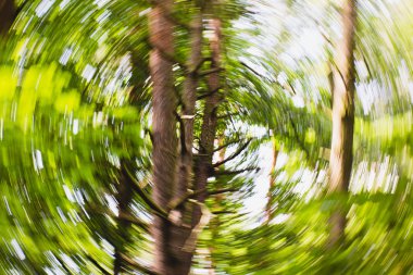 Ufuk orman daire hipnotik bulanık etkisi