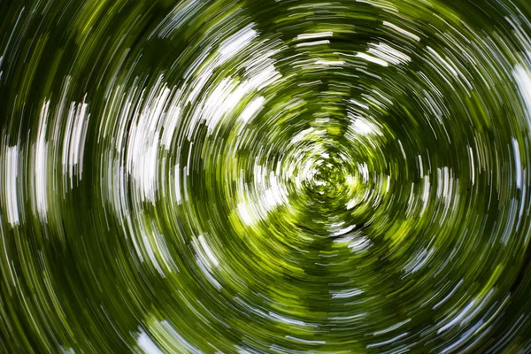 Defocused forest circle Hypnotic blurry effect
