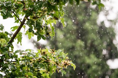 Soyut yaz yağmur damlaları