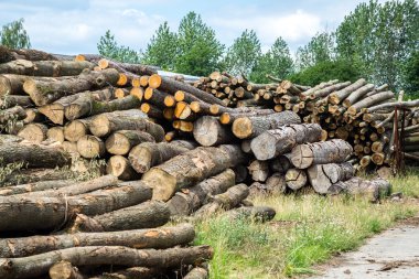 çam ahşap günlükleri