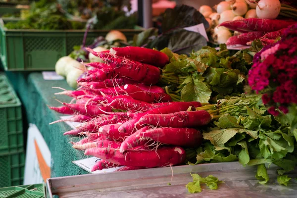 Manojos de rábano en el mercado — Foto de Stock