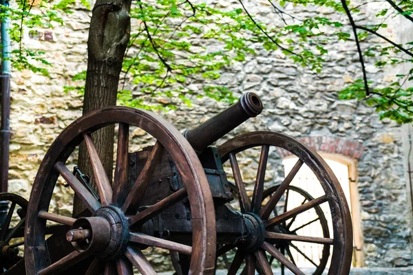 Old cannons, Prague castle, Czech Republic — Stock Photo, Image