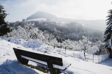 Güneşli kış günü