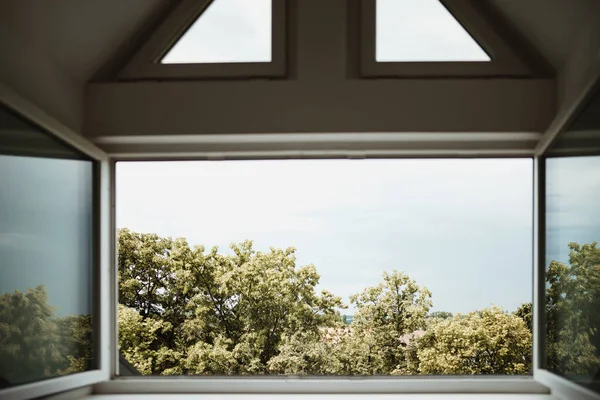 A ház ablakából kilátás nyílik a természet fák — Stock Fotó