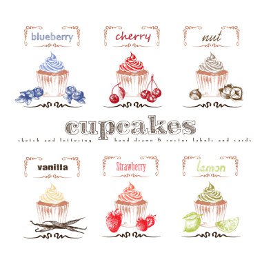 Cupcakes çizilmiş koleksiyonu ver. Vektör vintage illüstrasyon kiraz, yaban mersini, vanilya, fındık, çilek, limon ve mektup öğeleri.