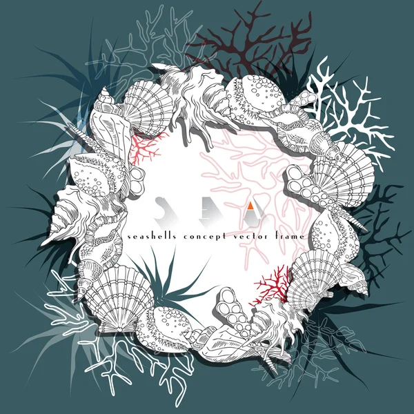 Seashells round frame concept hand drawn vector with algae, corals and plants, underwater life coral reef isolated on turquoise and white background. — Stock Vector