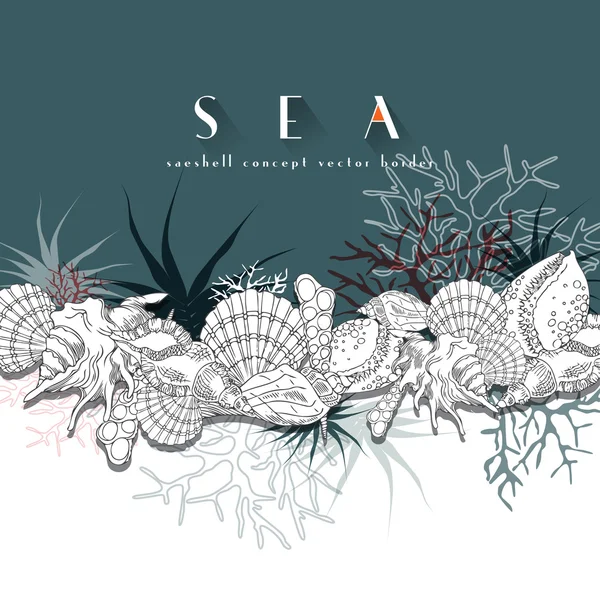 Seashells fronteira vetorial fronteira conceito turquesa. Seashells ilustração arte linha isolada com diferentes corais, algas, vida marinha e fundo . — Vetor de Stock