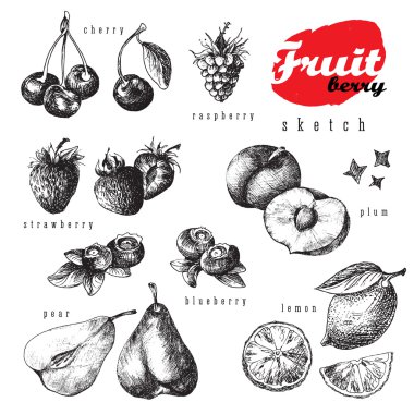 Meyve ve meyve büyük tasarım koleksiyonu kroki. Elemanları izole vektör: çilek, ahududu,