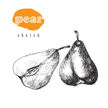 Armut ve bir yarım armut vektör başlık elle çizilmiş retro tarzı siyah izole illüstrasyon kroki. Çiftlik mağazası için armut meyve.