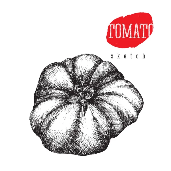 Tomate isolado, comida popular italiana. Vintage tomate vetor esboço estilo ilustração. Eco-alimentos orgânicos . —  Vetores de Stock