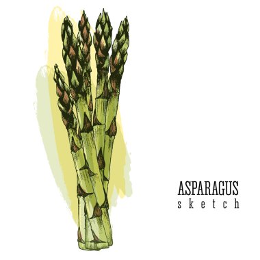 Demet kuşkonmaz izole vektör renk illüstrasyon kroki elle beyaz ve Sarı zemin üzerine çizilmiş.