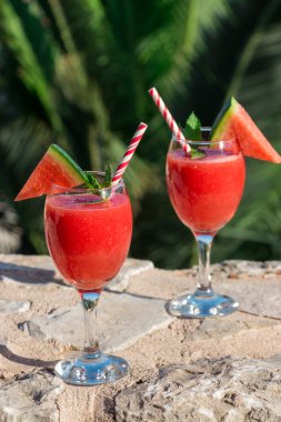 Denizin kenarında karpuz güler yüzlü yaz tatil günleri.