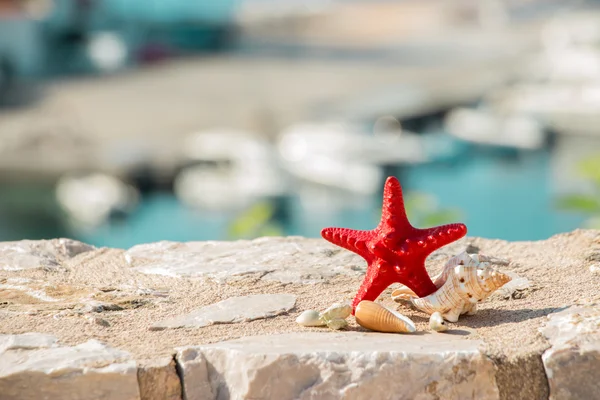 Red starfish and seashells.