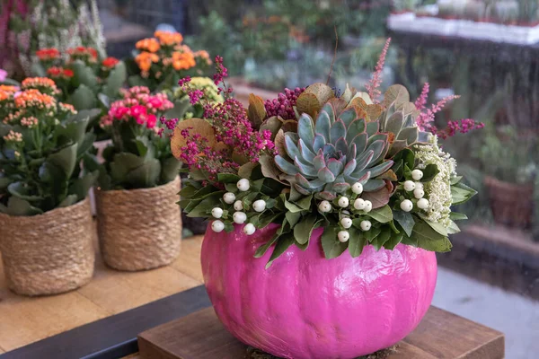 Decorated pink pumpkin with succulents, flowers and leaves at the greek garden shop in October. Horizontal. — Stock fotografie