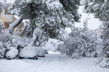 Güzel kış sabahı karlar Atina, Yunanistan sokaklarını kapladı, 16 Şubat 2021.