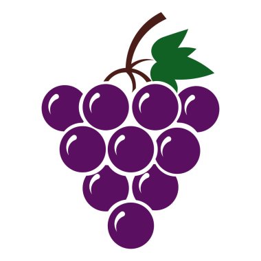 Yeşil yapraklı ve saplı canlı mor üzüm kümesi beyaz arkaplanda izole edilmiş.