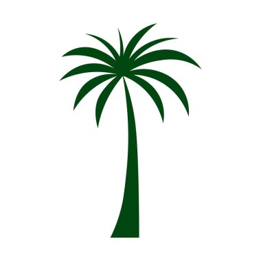 Tek bir tropik palmiye ağacının koyu yeşil silueti. Tatil için mükemmel.,