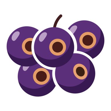 Kahverengi merkezli ve röfleli beş mor yaban mersini demeti, düz çizim