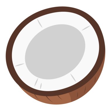 Yarım hindistan cevizi beyaz etini ve lifli kahverengi kabuğunu gösteriyor, düz vektör çizimi.