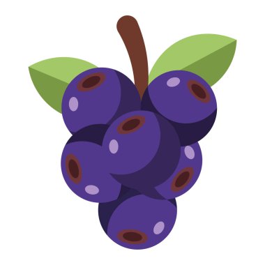 Yeşil yapraklı koyu mor yaban mersini kümesi, sağlıklı meyve çizimi, basit düz tasarım, izole edilmiş