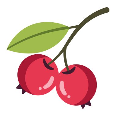 Yeşil yapraklı iki kırmızı böğürtlen, düz çizim, beyaz üzerine izole edilmiş..