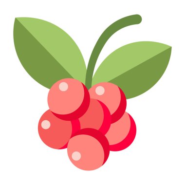 Yeşil yapraklı, pembemsi kırmızı böğürtlen kümesi, basit düz çizim, beyaz üzerine izole edilmiş..