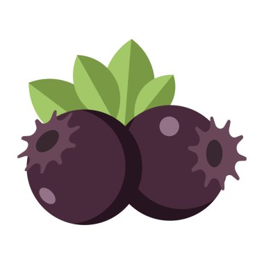 Yapraklı iki koyu mavi yaban mersini, sade düz çizim, beyaz üzerine izole edilmiş..