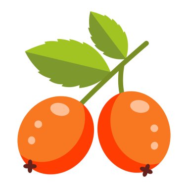 Sapında yeşil yapraklar olan iki olgun turuncu gül üzümü, basit düz çizim..