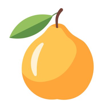 Yeşil yapraklı ve saplı olgun sarı bir armutun beyaz arka planda basit bir çizimi..