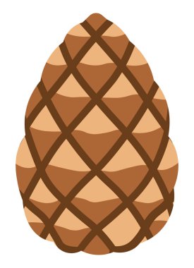 Çam kozalağı çizimi, doğal element, sonbahar dekoru, beyaz arka planda izole edilmiş, grafik tasarımı