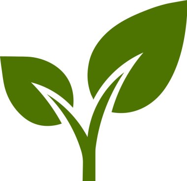 Beyaz Arkaplanlı İki Yapraklı Yeşil Tohum Filizi Simgesi