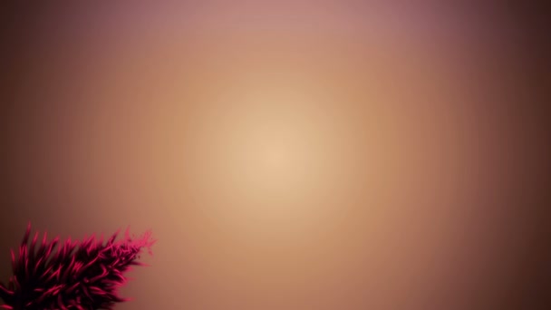 Magnifique animation vidéo avec arbre à particules 