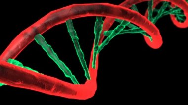 Animasyonlu Dna zinciri. Döndürme Dna