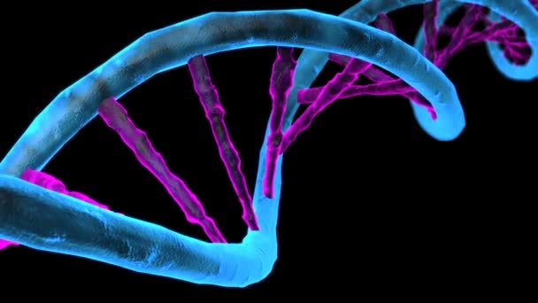 Animované řetězec Dna. Rotace Dna — Stock video